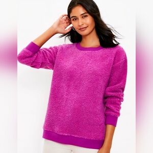 LOFT Hot Pink Fuzzy Sherpa Crewneck Sweater  XL